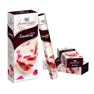 Aroma Land Betisoare Parfumate Hexagonale 20Buc/Set Sensation