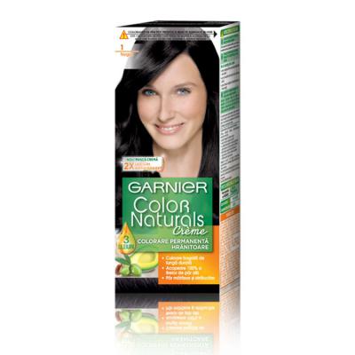 Garnier Vopsea Par Negru 1