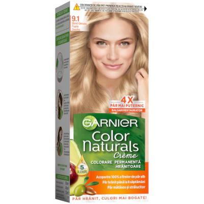 Garnier Vopsea Par Blond Cenusiu Foarte Deschis 9.1