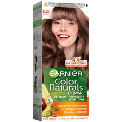 Garnier Vopsea Par Castaniu 6.25