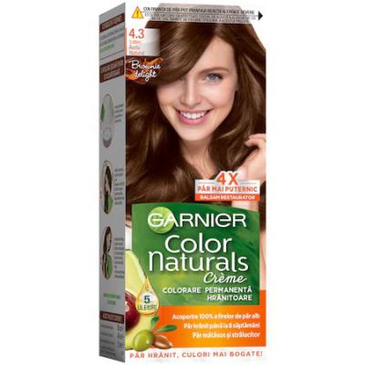Garnier Vopsea Par Saten Auriu 4.3