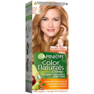 Garnier Vopsea Par Blond Auriu Natural 7.3