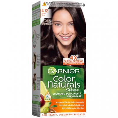 Garnier Vopsea Par Saten Rece 4.12