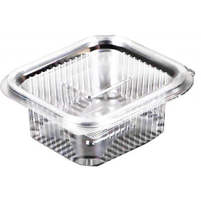 Caserola Unica Folosinta 250g 10Buc/Set