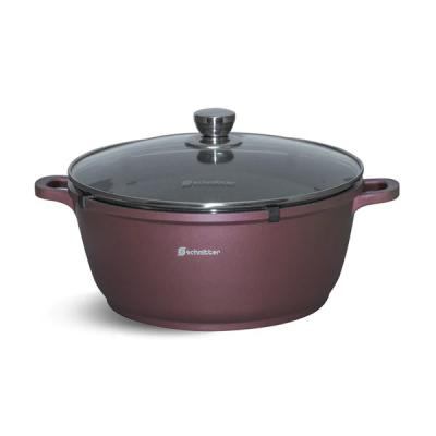 Schmitter Oala Antiaderenta cu capac din sticla 28X12.5cm 6L
