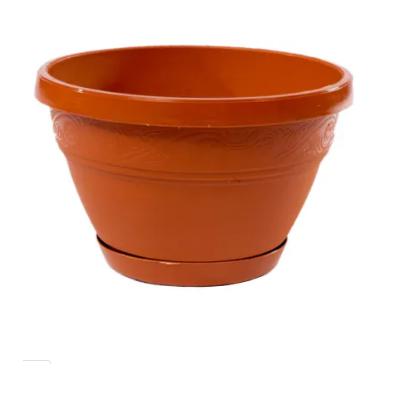 Ghiveci Lalea 27cm X 19cm