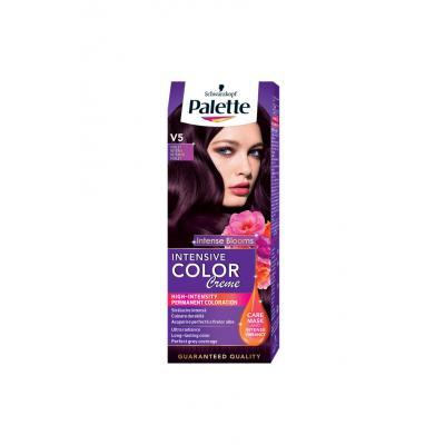 Palette Vopsea Par Violet Intens V5