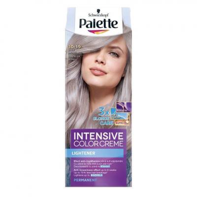 Palette Vopsea Par Blond Argintiu Rece 10-19