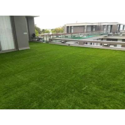 Covor Gazon Iarba Artificiala, 20 mm, SRILANKA, Verde, 100x200cm