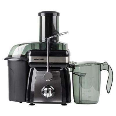 Hausberg Storcator Fructe, 1000W, 1L, Maner Metalic HB-7540