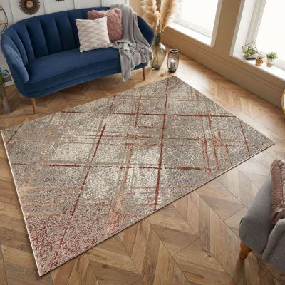 Covor Modern Anny 33007, Model Dungi 118x170 cm, 1600 gr/mp