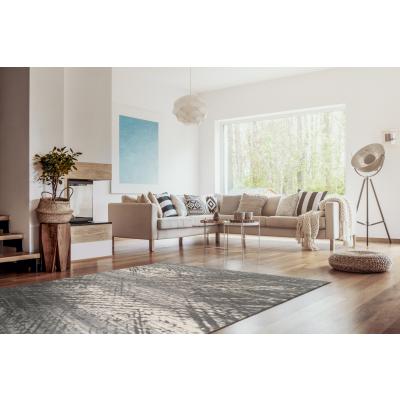Covor Modern Toscana, Model 4E, Gri 120x200 cm, 2500 gr/mp