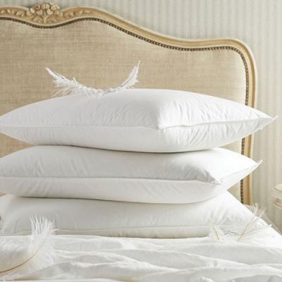 Pucioasa Perna Bumbac 100% cu Umplutura Puf Gasca 70x70cm 