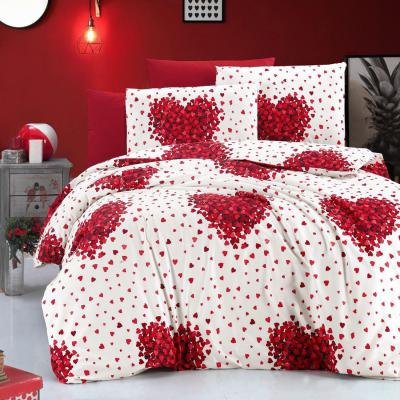 Pucioasa Lenjerie Pat damasc RNFN19 2 persoane Queen size 4 piese