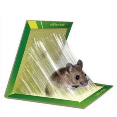 Capcana dubla Lipici Soareci Mouse&amp; Rat
