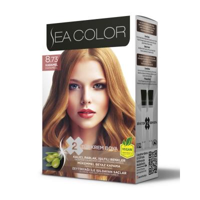 Sea Color Vopsea Par 8.73 Caramel