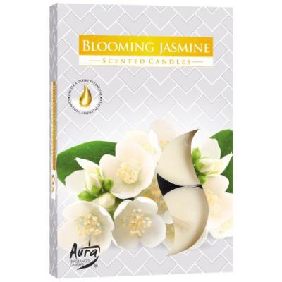 Lumanare Pastila Flori de Iasomie P15-169 6Buc/Set