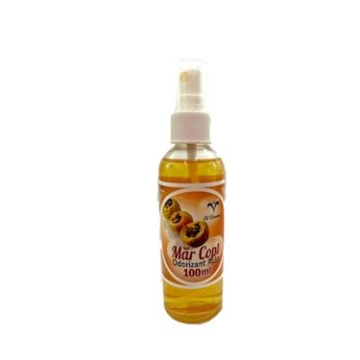 El Divino Odorizant auto concentrat 100 ml Mar Copt