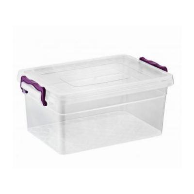 Asude Cutie Depozitare cu capac si prindere laterala 30L