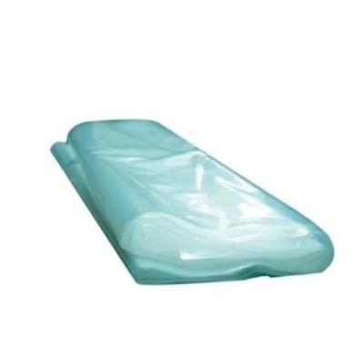 Saci Struguri Verzi 60G 10Buc/Set