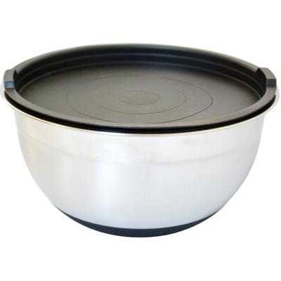 Schmitter Castron Inox cu Capac si baza antiaderenta silicon 28x15.5Cm
