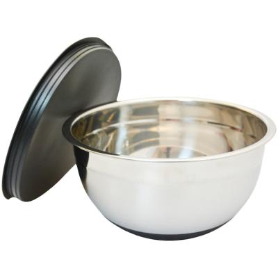 Schmitter Castron Inox cu Capac si baza antiaderenta silicon 24x13.5Cm