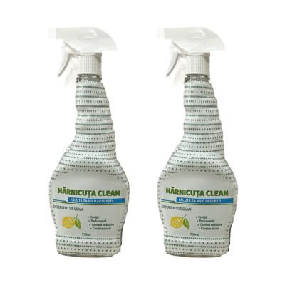 Pachet Curatenie Geamuri Harnicuta Detergent 750ml 2 buc/set