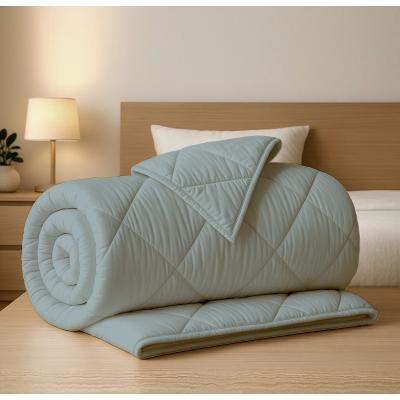 Pucioasa Pilota Matlasata Ranforce 100% Bumbac Iarna 180x210cm gri-antracit