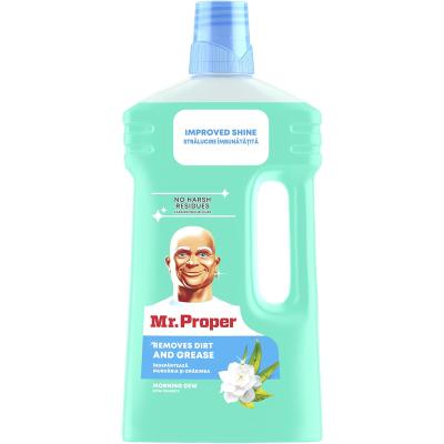 Mr Proper Detergent universal Suprafete 1L Roua Diminetii