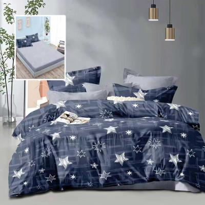 Pucioasa Lenjerie Pat Economy 2 persoane 6 piese cu husă ECNH8